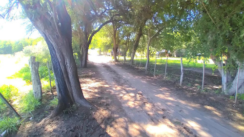 Terreno En Cruz Del Eje Paraje El Pantanillo