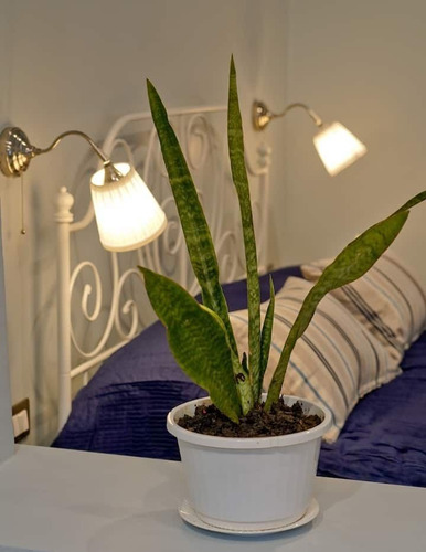 En Venta Casa En La Zona Colonial Reformada Con Dos Estudios , Comparten Patio Y