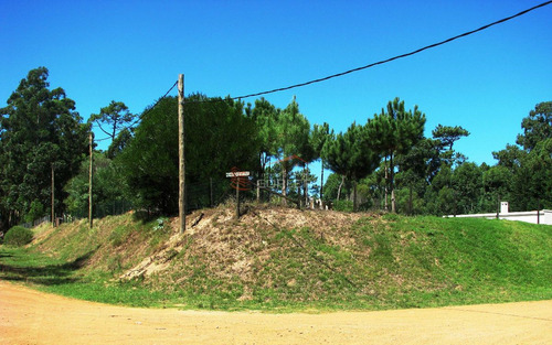 Pinares, Zona De Bosque. Terreno Alto, Arbolado A 900 Mts Del Mar. 