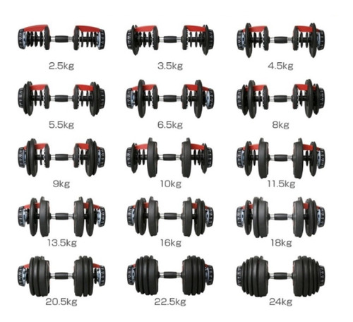 Mancuernas Ajustables 24kg Par