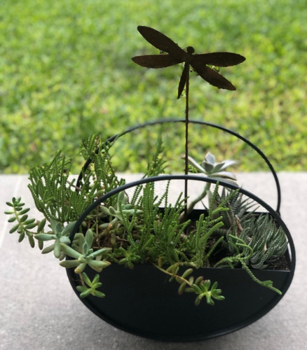 Imagen 4 de 10 de Mini Tutores Deco Souvenirs Hierro X3 Un Pinches Jardín