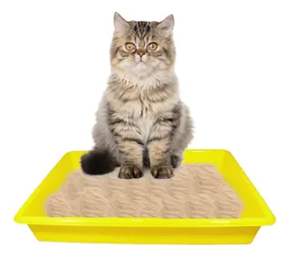 Accesorios De Higiene Arenero Para Gato Propets Color Amarillo