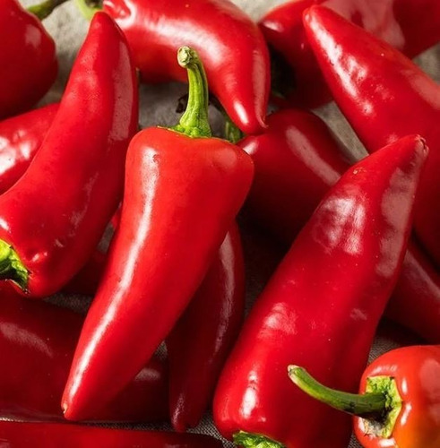 Semillas Jalapeño Fresno - Pimiento Exótico -