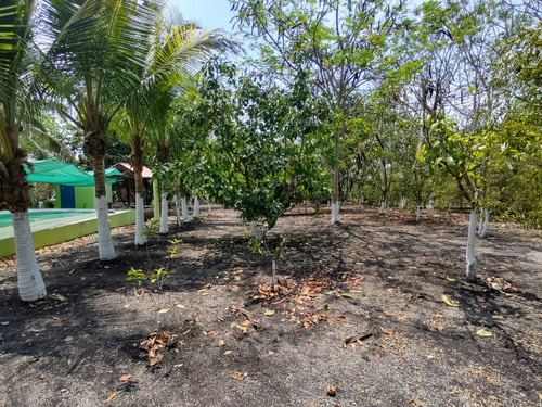 Terreno En Venta En Veracruz Con Casa De Descanso Loc. Palo Gacho.