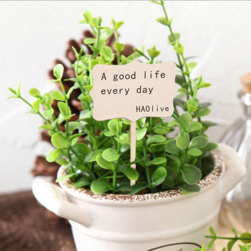 3 X 10 Piezas De Etiquetas De Para Plantas, , Etiquetas Para