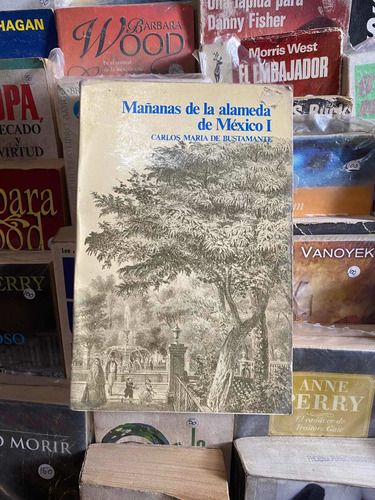 Mañanas De La Alameda De Mexico I