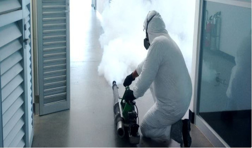 Termogreen Desinfectante 5l Termonebulizador Nebulizador