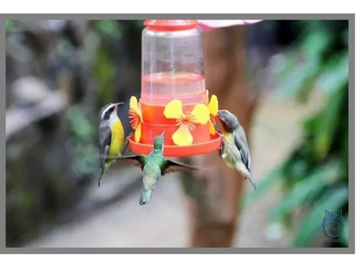 Imagen 4 de 6 de Bebedero Para Colibri Picaflor Comedero Aves Nectar Elpe