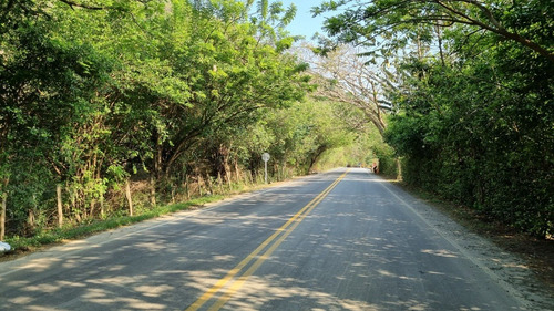 Imagen 12 de 25 de Finca Ganadera En Venta En Santa Fe De Antioquia