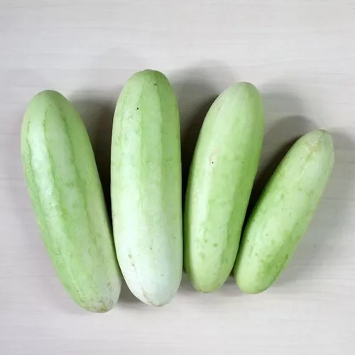 Semente de pepino branco 10gr Luso Sementes