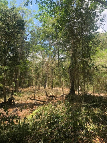 Lote En Venta En La Ruta De Los Cenotes. Qta. Roo.