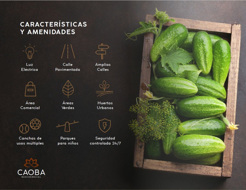 Lotes Residenciales En Privada Con Precio Increible