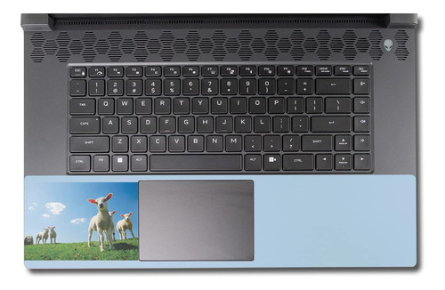 Mightyskins Skin Compatible Con Alienware M17 R5 (2022) Kit