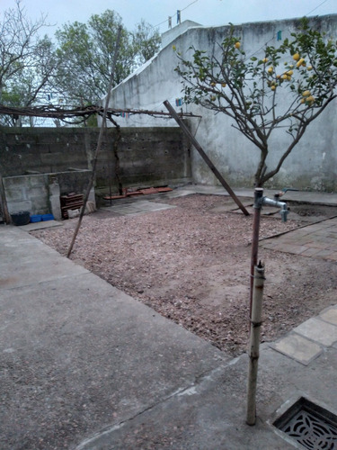 Imagen 4 de 10 de *la Aldea Guarderia Y Pensionado Canino*