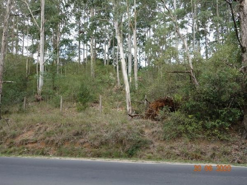 Imagem 1 de 6 de Gleba Com 25.139,47m2 Em Porto Alegre