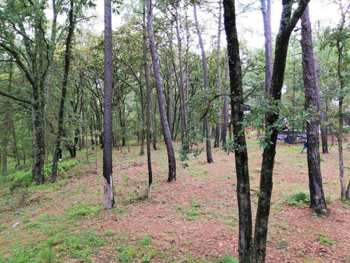 Imagen 8 de 12 de Terreno Huasca De Ocampo 2500 M2 Junto A Cabañas Pinochueco
