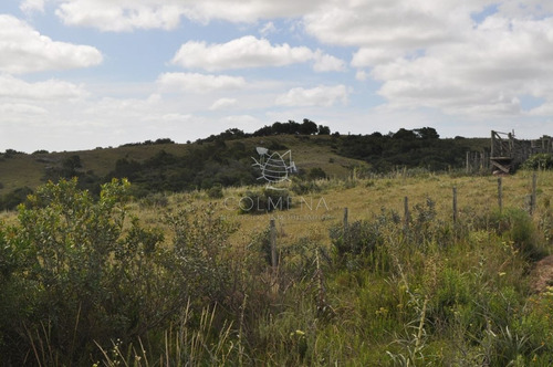 Imagen 16 de 30 de Venta De Chacras De 5 Has Se Ubicado En Garzon - Garzón Garzon