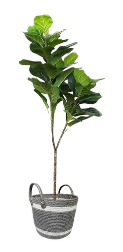 Planta Artificial Interior Ficus Pandurata Alto 140mts
