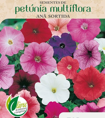 Kit 800 Sementes Flor 11 Horas Dobrada + 900 De Petunia | MercadoLivre