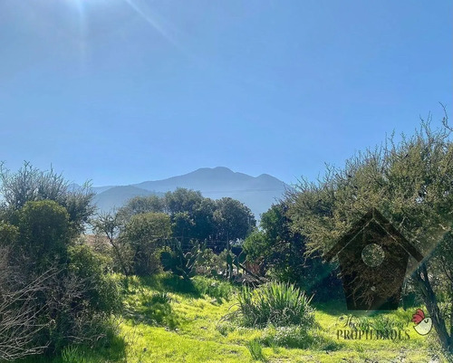 Lo Castro, Quebrada De Alvarado, Olmue. 5.000m2