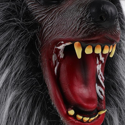 Modelo Realista De Simulação De Cabeça De Lobo De Látex Inte
