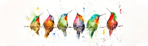 Cuadro Decorativo Pájaros Colibríes Impreso En Canvas 150x40