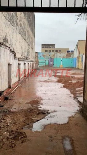 Imagem 4 de 4 de Terreno Em Ipiranga - São Paulo, Sp - 363024