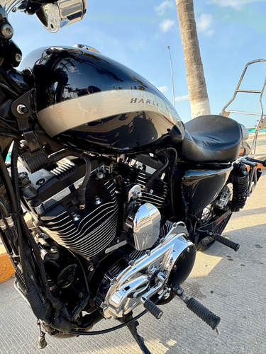 Harley Davidson Custom 1200 Xl 2019