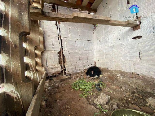Imagem 11 de 30 de Imperdível, 2 Casas Completas, 6 Quartos Com Vista Definitiva! - Ca0611