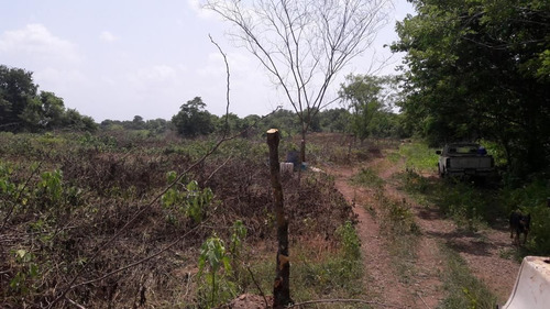 Rancho En Venta En Veracruz Carretera Paso De Ovejas