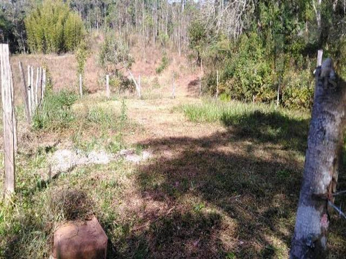 Imagem 4 de 10 de Cod 6031 - Chacara Toda Murada Com 5500 M². - 6031