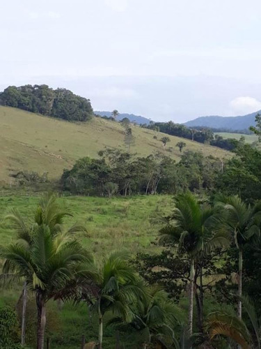 Imagem 1 de 15 de Ref.: 17534 - Fazenda Em Jacupiranga Para Venda - 17534