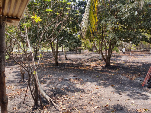 Terreno En Venta En Veracruz Con Casa De Descanso Loc. Palo Gacho.