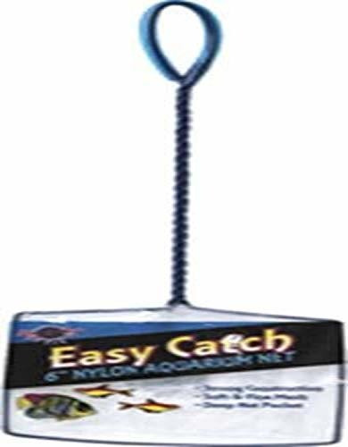 Blue Ribbon Pet Products Ablec6 Fácil Captura Red De Pesca P