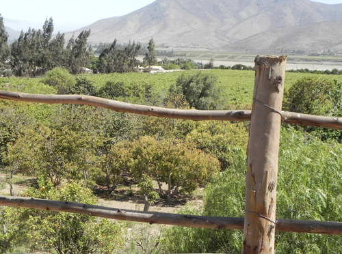 Parcela En Venta En La Serena