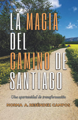 La Magia Del Camino De Santiago: Una Oportunidad De Transfor