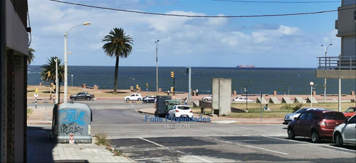 Parque Rodo Alquiler Oficinas Premium A 1 De Rambla