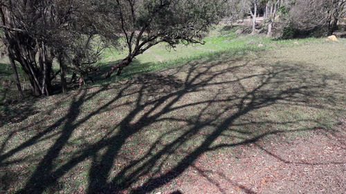 Imagem 4 de 7 de Terreno De Condomínio, Condomínio Voturuna, Santana De Parnaíba - R$ 850 Mil, Cod: 235375 - V235375