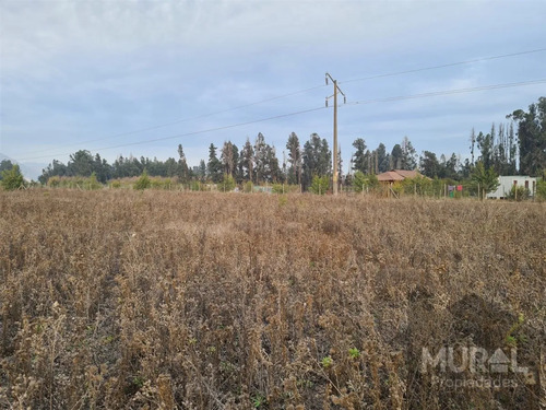 Vendo Linda Parcela En Condominio Consolidado, Isla De Maipo