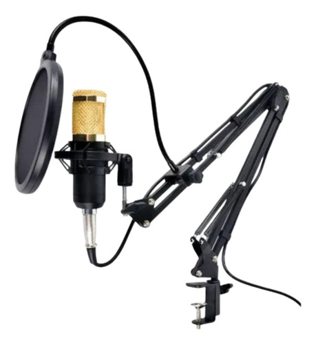 Microfone Profissional Condensador Com Tripé Mesa V8 Estudio