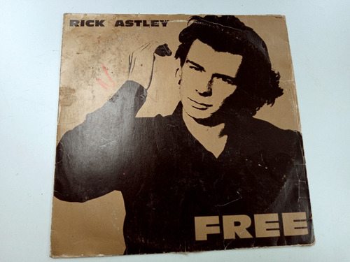 Lp Rick Astley 1991 Free, Disco De Vinil 