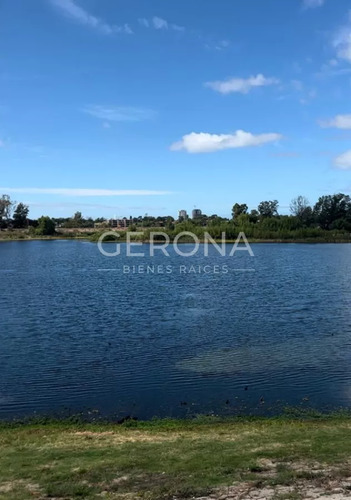 Venta Terreno De 11000mts En Carrasco Este .