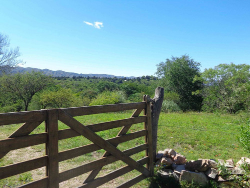 Imagen 4 de 30 de Se Venden 10 Ha En Valle Hermoso Con Servicios