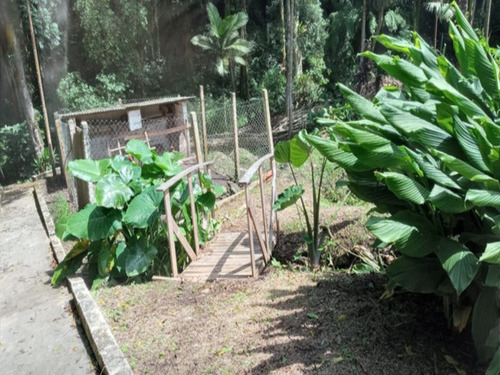 Chácara À Venda Em Piedade - Ch00330 - 69204666