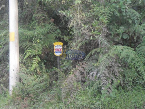 Imagem 1 de 3 de Excelente Terreno No Battistini - 100