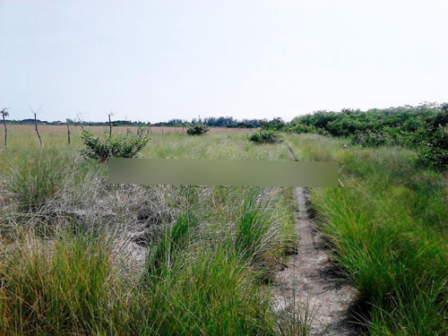 Venta Terreno La Mata