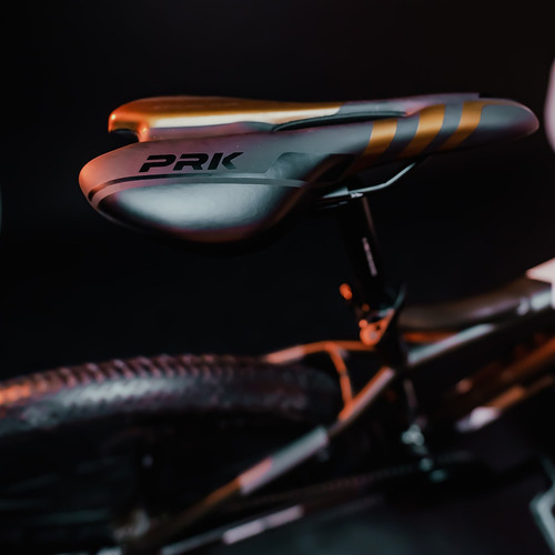 Mountain Bike Instinct R29 21v