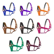 Comprar Almartigon Accesorio Para Caballo 