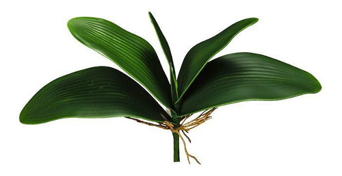 Folha De Orquídea Artificial Phalaenopsis Com Cinco Folhas | Parcelamento  sem juros
