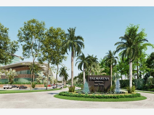 Imagen 2 de 4 de Terreno En Venta Palmarena